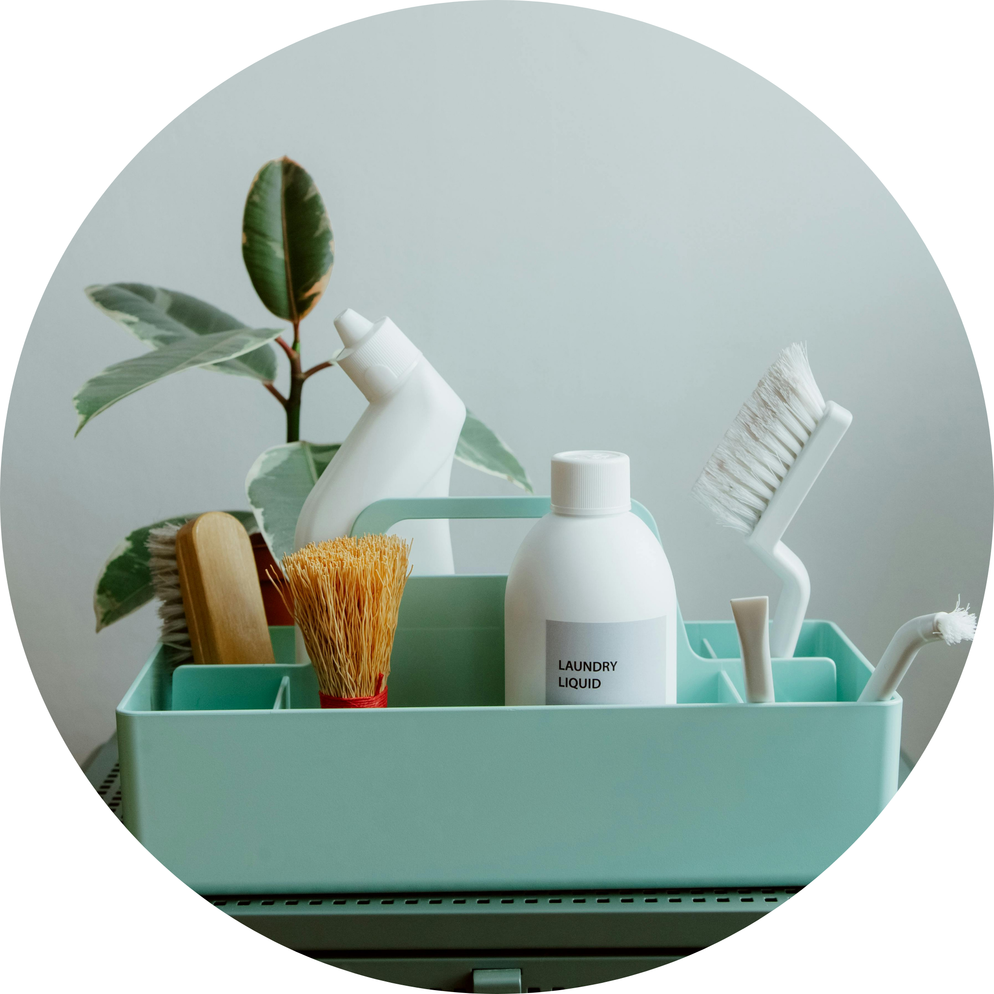 Health & Personal Care